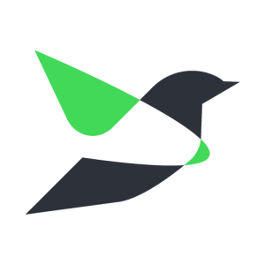 Website Design & Branding